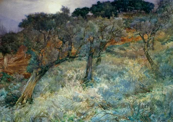 Olivlund, av Augusto Corelli (1853-1910)