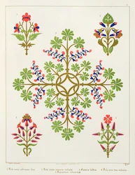Rosmotiv tapetdesign, tryckt av M. und N. Hanhart