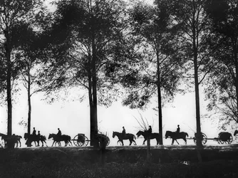 En vy, i siluett, av australiensiska artilleripjäser laddade med ammunition som fortsätter längs Ypres Road, 25 september 1917