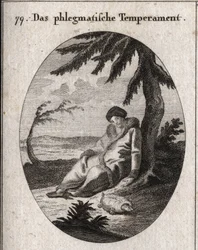 Allegori av flegmatisk hy. Sköldpaddan är egenskapen för dess långsamhet. Gravyr i "" ikonologi eller idéer från området passioner och allegorier avbildade för ritare, målare, poeter, forskare, lärare och vänner högre