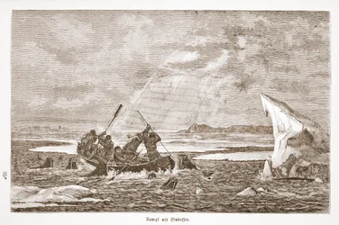 Slåss med valrossen, 1876