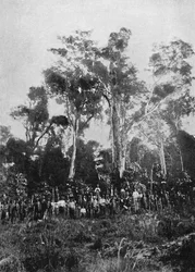 Jungfru Matta, 1895