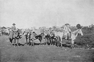 Negociantes do Interior, Traders of the Interior, 1895