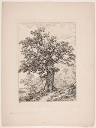 Niels Ebbesens ek. Gyllingnæs skog