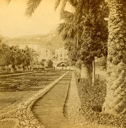 Monte Carlo, tittar från kasinot, 1897.