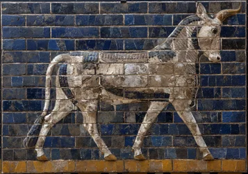 Helig tjur - reliefs i emaljerat tegel från Ishtarporten - Babylon - 604-562 f.Kr. - Nebukadnessars tid - Arkeologiska museet i Istanbul - En tjur, detalj från glaserade tegelplattor med mytologiska djur som prydde processionsvägen till Ishtarporten