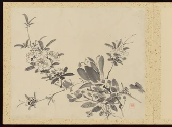 "Raffinerad elegans under de fyra årstiderna" (Shiji seiga), Album med blomstermålningar