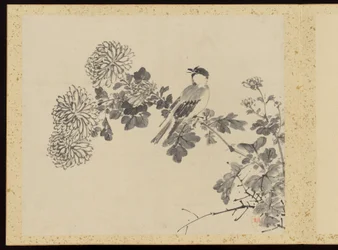 "Raffinerad elegans under de fyra årstiderna" (Shiji seiga), Album med blomstermålningar