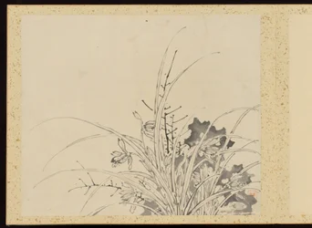 "Raffinerad elegans under de fyra årstiderna" (Shiji seiga), Album med blomstermålningar