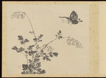 "Raffinerad elegans under de fyra årstiderna" (Shiji seiga), Album med blomstermålningar