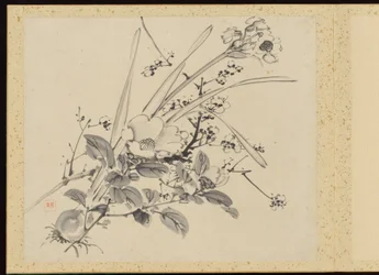 "Raffinerad elegans under de fyra årstiderna" (Shiji seiga), Album med blomstermålningar