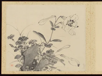 "Raffinerad elegans under de fyra årstiderna" (Shiji seiga), Album med blomstermålningar
