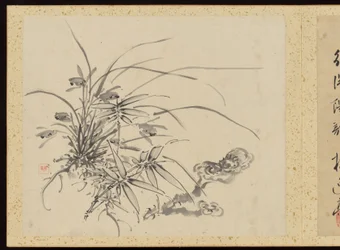 "Raffinerad elegans under de fyra årstiderna" (Shiji seiga), Album med blomstermålningar