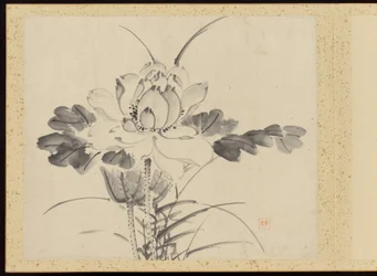 "Raffinerad elegans under de fyra årstiderna" (Shiji seiga), Album med blomstermålningar
