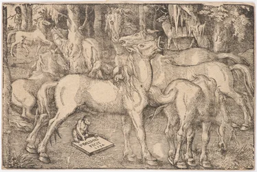 Grupp med sju hästar, 1534.