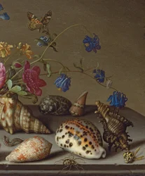 Blommor, snäckor och insekter på en stenkant