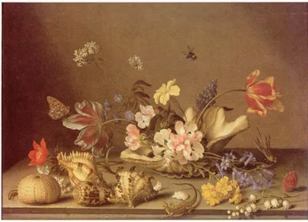 Stilleben med blommor och snäckor