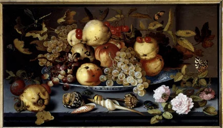 Stilleben med frukter, blommor, snäckor och insekter. Holländsk skola