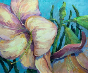 Amaryllis 2, ca 1990-2000 (olja på duk)