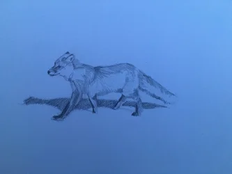 Fox, 2018