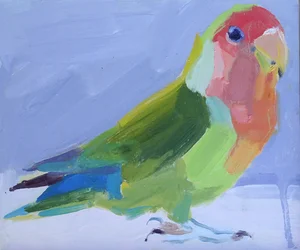 Lovebirds, 2017