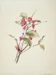 Rosa blommor (akvarell på papper)