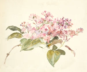 Rosa blommor (akvarell på vävt papper)