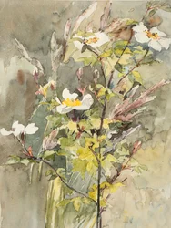 Vildblommor (akvarell och grafit på vävt papper)