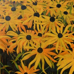 Gyllene sommarblommor