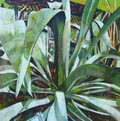 Frodig grön agave