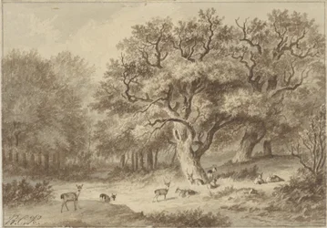 Skogslandskap med rådjur