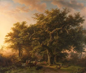 Skogsscen
