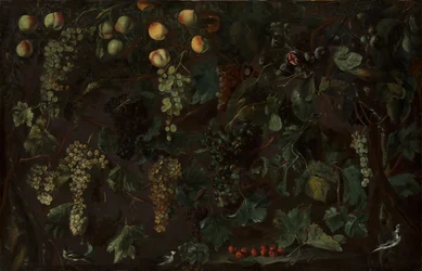 Vinrankor och frukt, med tre vipstjärtar, ca. 1615-18.