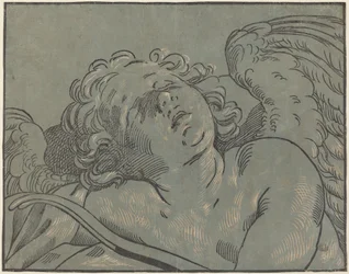Cupid sover