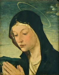 Huvud och händer av en beundrande madonna (fragment), ca 1477-78 (tempera på poppelträ)
