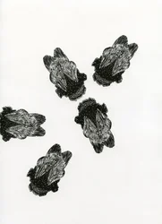 Humlors möte, 2013 (trägravyr på papper)