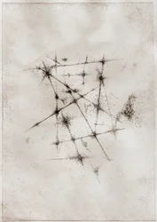 Nebula, 2018 (torrnål på papper)