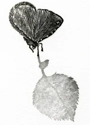 Spänning, 2014 (Trägravyr, collage på papper)