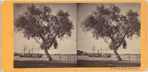 Pilträd. Planterad av Com. Perry och andra överlevande från slaget vid Lake Erie, för att markera begravningsplatsen för de dödade.