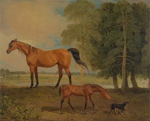 Broodmare med föl och en terrier