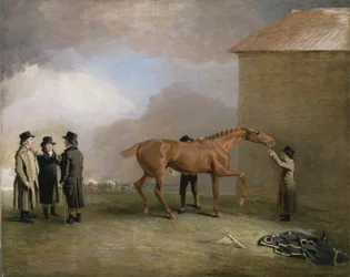 Muly Moloch, en kastanjeföl som gnides ner på Newmarket Heath, med porträtt av Trotter, Hardy och Thompson till vänster (olja på duk)