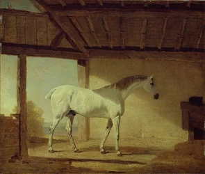 Jarlen av Coventrys häst, 1805.