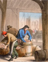 Silltorkning, c1845