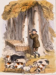 Svinhjorden, c1845