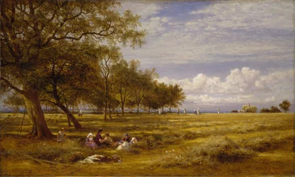 An English Hayfield, 1878.