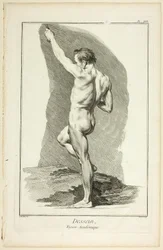 Design: Academic Figure, från Encyclopédie