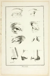 Design: Facial Anatomy från Encyclopédie