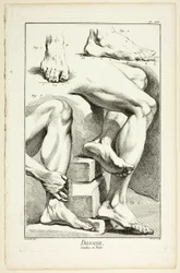 Design: Ben och fötter, från Encyclopédie
