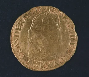 Gyllene sköld