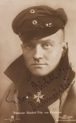 Porträtt av Manfred von Richthofen 1892-1918, 1918.